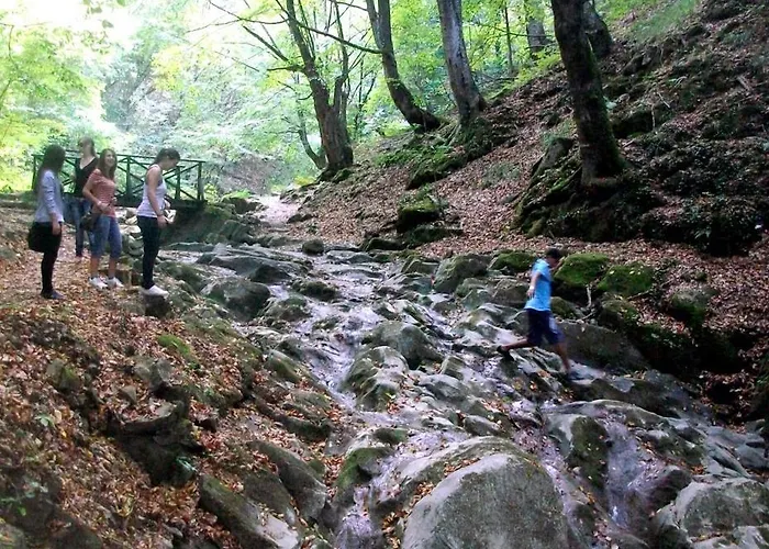 Olymp 4* Тетевен